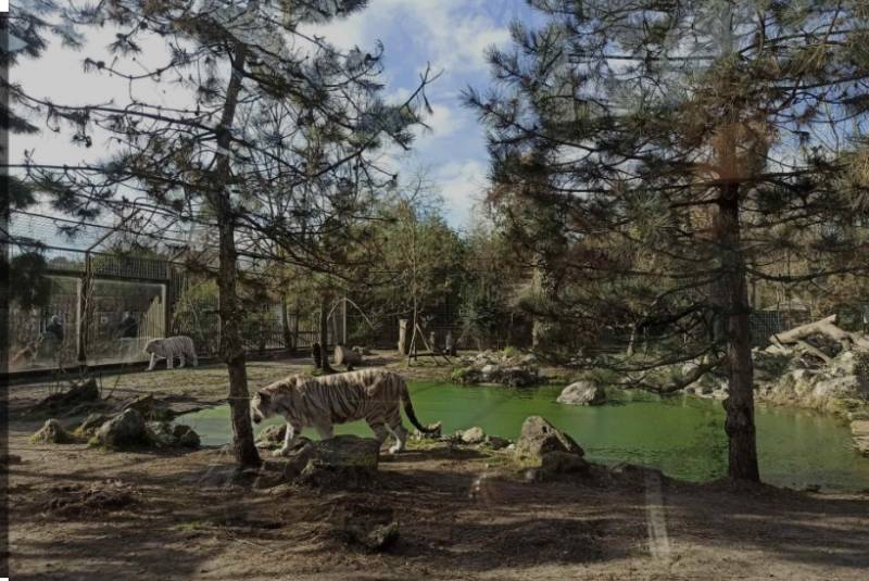 Zoo à Pessac proche de Talence 