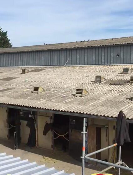 bcbef203-3492-4d03-a805-9b1035c269fc